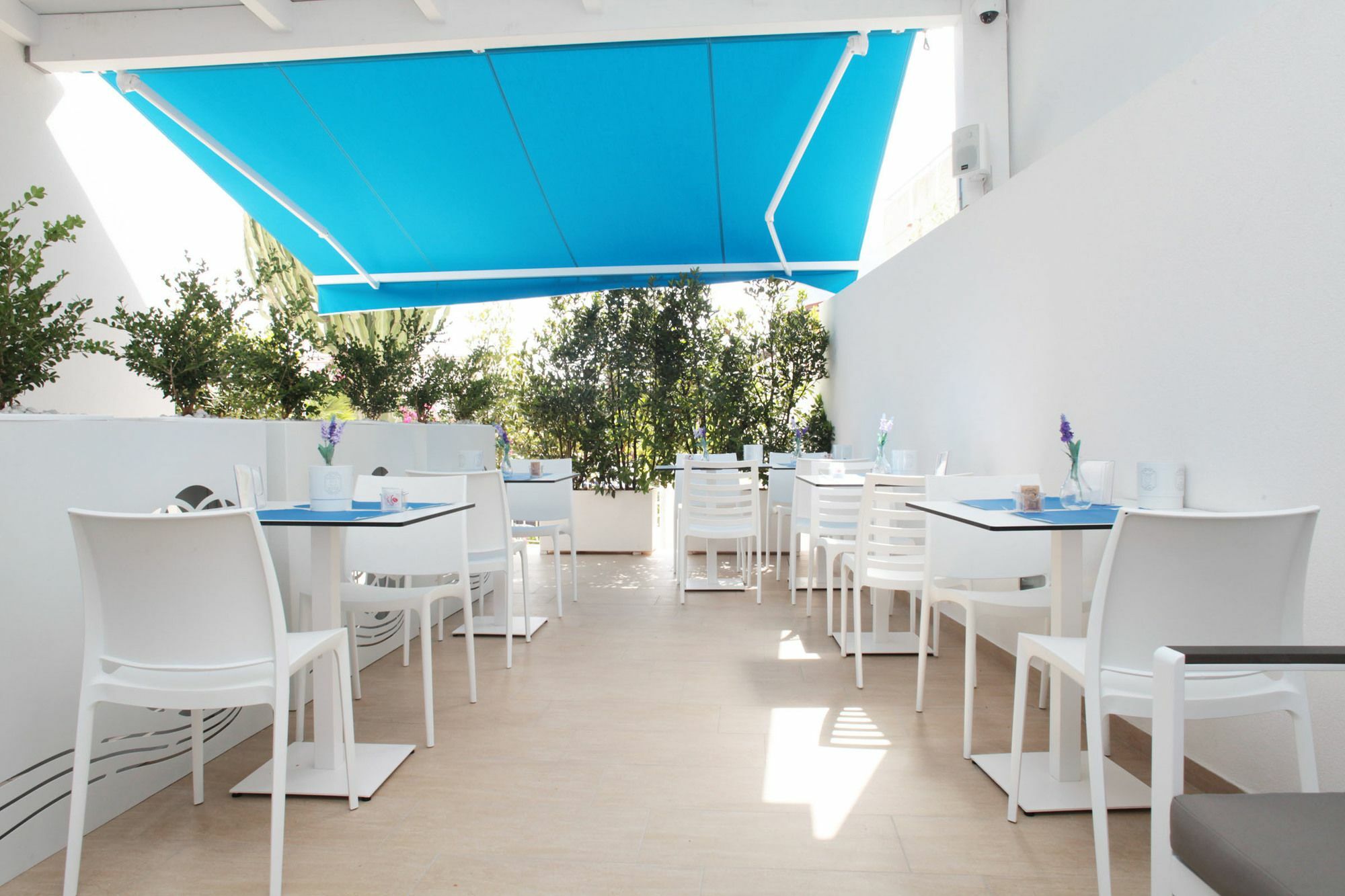 Rivazzurra Design Rooms Σαν Βίτο λο Κάπο Εξωτερικό φωτογραφία